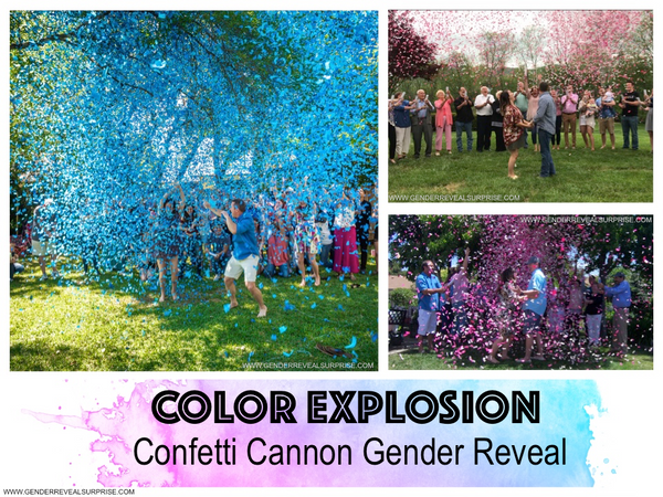 collage of confetti gender reveals with the words