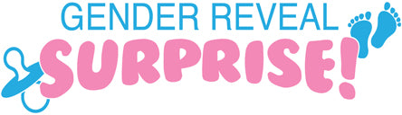 Gender Reveal Surprise logo