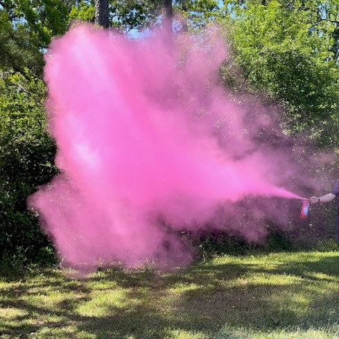 Pink Gender Reveal Extinguisher Case 5/1