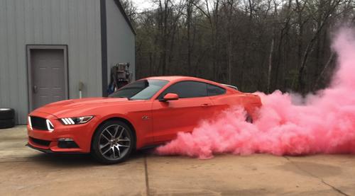 Gender Reveal Burnout Kit