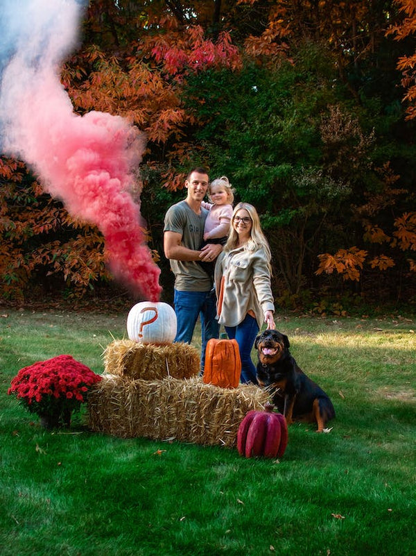 Bulk Pack of Pink Gender Reveal Smoke Bombs (12 Packages)