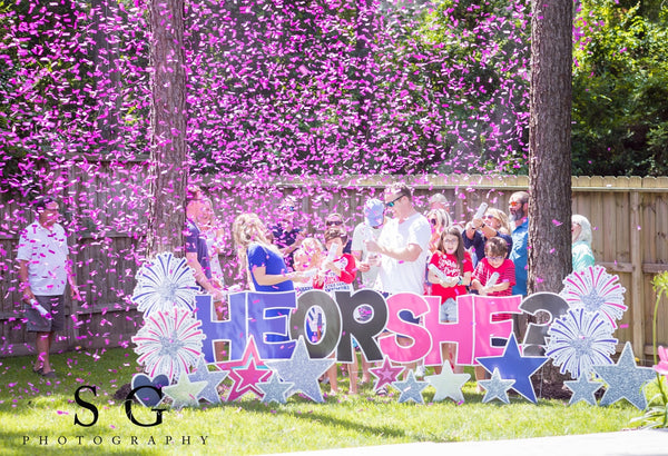 18" Pink Gender Reveal Confetti Cannons Case 25/1