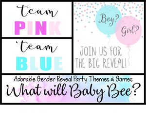 An Example of Gender Reveal Invite