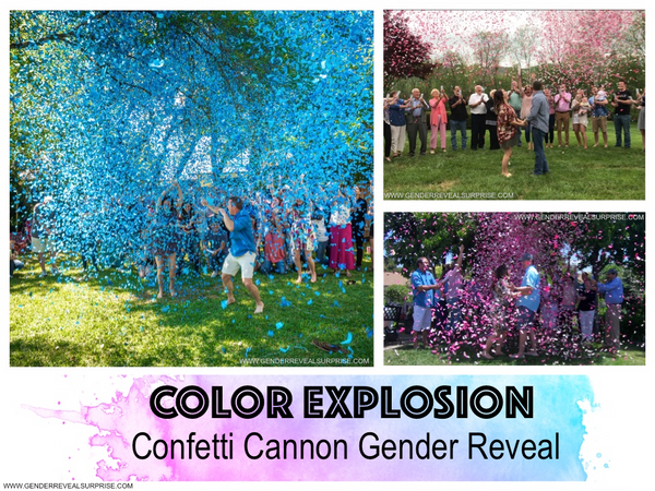 collage of confetti gender reveals with the words 