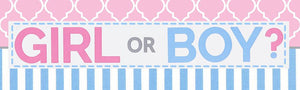 Image for gender reveal party saying girl or boy in pink and blue