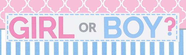 Image for gender reveal party saying girl or boy in pink and blue