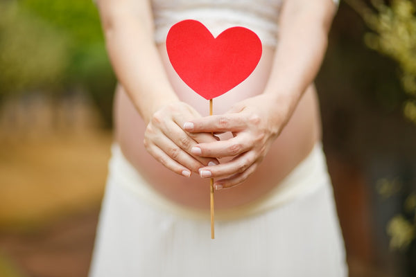 A paper heart being held by a pregnant mother.