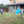Blue Powder Gender Reveal Baseball