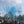 Family and Friends cover the sky using powder and confetti mixture cannons as they reveal the gender of the baby